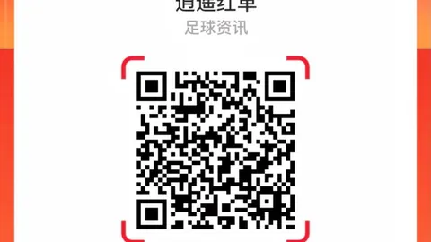 中秋临近，鸡蛋价格走势：终极指南带你探究竟